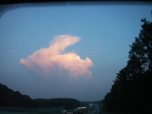 kaperk's profile picture. Reader, traveler, tea drinker. I check in now and again.
Don't want to be followed by businesses! Following more people now. Don’t want to lose track of them