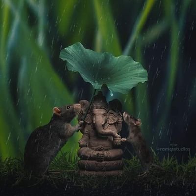 ThallapallyRaj9's profile picture. 