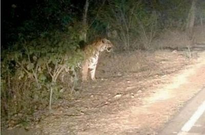 ग्राम पिपलिया वास रामगढ़िया की ढाणी जिला जयपुर रामगढ़ तहसील महेंद्र कुमार सैनी पिताजी का नाम मोहन लाल सैनी एचडीएफसी राम बेटा राम हेलो सभी भाइयों को राम राम हमार