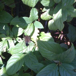 danielfurze78's profile picture. 