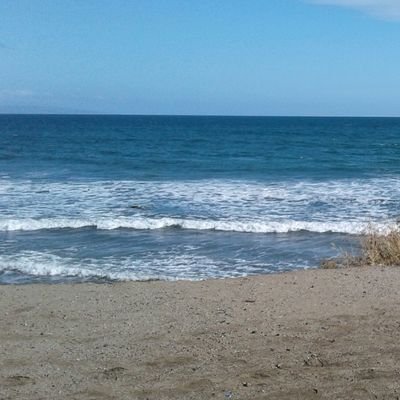 fukdrumpf's profile picture. #Resist #MeToo #LADodgers #Chemtrails #Warren2020 #Kamala2020 #LGBTQ #BLM