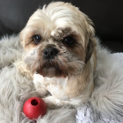 CAH0025's profile picture. 