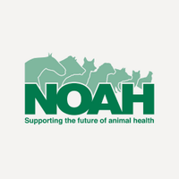 NOAH (@uknoah) 's Twitter Profile