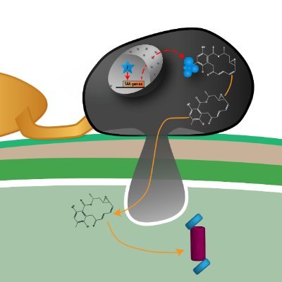 @LMetabolites