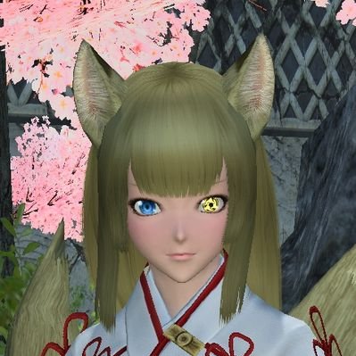 八雲和桜