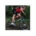 Edwin Haan (@edwinfietst) Twitter profile photo Edwin Haan (@edwinfietst) Twitter profile photo