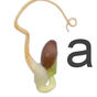 Appleseed Portal is a free open source portal for individuals, entrepreneurs and small business that aims for simple install, design , and extension.