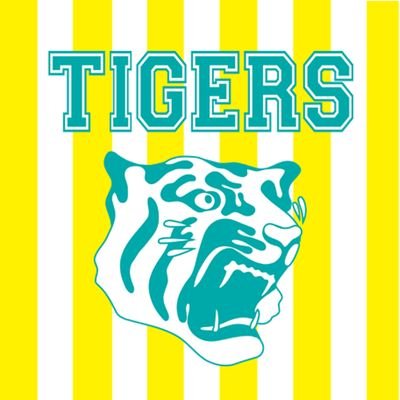 KoujiTigers's profile picture. 