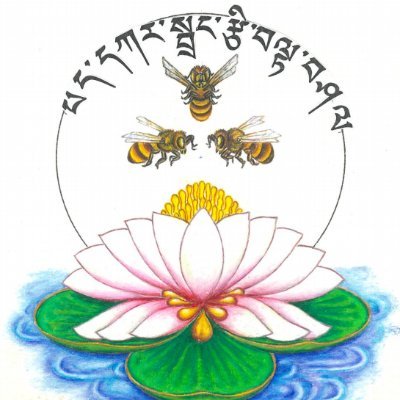 Self Employed @ Pekar Drangtsi Tours & Treks, Thimphu, Bhutan.