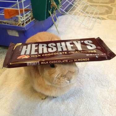 ShaanSPunia's profile picture. 