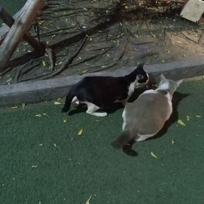 askwwww's profile picture. 