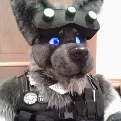 Mostly friendly, sometimes grumpy Wolf from Germany.
Fursuit made by @TheKarelia