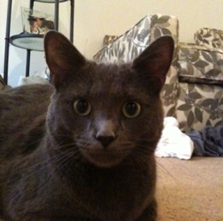 Chris_Troutman's profile picture. 