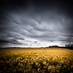 Didier Toulouze (@dtoulouze) Twitter profile photo Didier Toulouze (@dtoulouze) Twitter profile photo