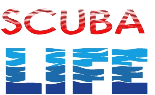 dedicados a Buzos que quieren vivir aventuras, obtener educación, conseguir compañeros de buceo. 
Scuba Life... mas que buceo, un estilo de vida #vidadebuzos
