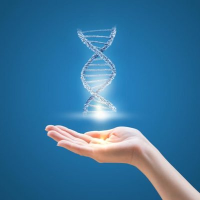 Informing the public on the latest biohacks. All information is from various studies, podcasts and books. These tweets are NOT medical advice.