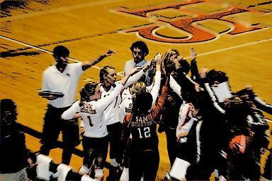 The official Twitter account of SHSU Volleyball.  GO BEARKATS!