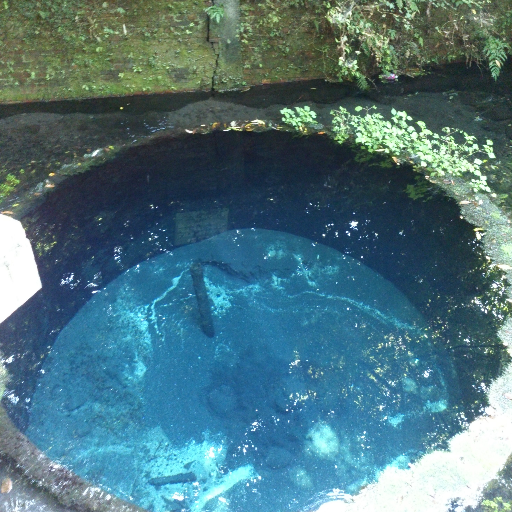 mfujita73's profile picture. 