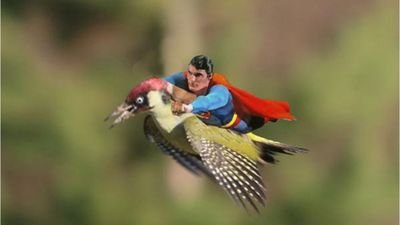 DTurbios's profile picture. Que simplemente me divierta? En serio crees que es tan facil? Lo es, verdaderamete. Pueden haber atajos, pero es facil. Gracias, me hiciste el dia