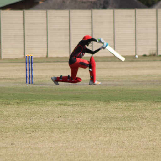 IT Professional, Cricketer, Captain of the German Cricket team