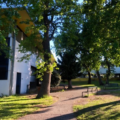 Toute l’actualité du collège Jolimont de Toulouse. • ULIS, NSA, pôle espoir judo, latin, espagnol bilingue, ...