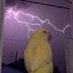 thunderbird (@thunderbirdof) Twitter profile photo thunderbird (@thunderbirdof) Twitter profile photo