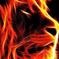 Michael O' Connor (@tippjogger) 's Twitter Profile Photo