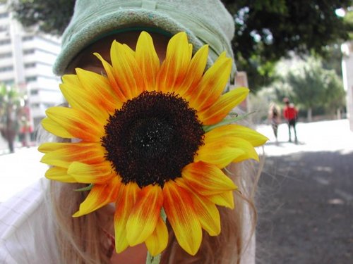 CariL's profile picture. 