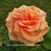TimeBanditImages (@images_time) Twitter profile photo TimeBanditImages (@images_time) Twitter profile photo