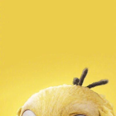 1297647862Cheng's profile picture. 缺少一点调剂