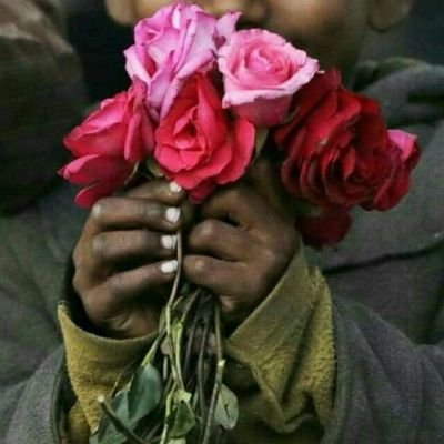 Sesler ormanında kaybolan biri