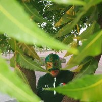 Ecoman (@ecomandefensor) 's Twitter Profile