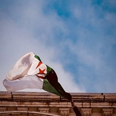 _Abbynomics's profile picture. 