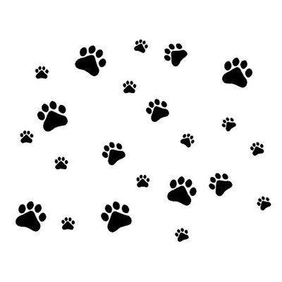 adoptablepetsOH's profile picture. Adoptable pets in OH 🐶🐱🐰