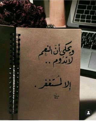 Amooolhdr's profile picture. 