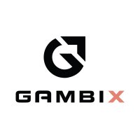 Gambix(@GambixIT) 's Twitter Profile Photo