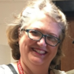 High School History teacher. AP European History, AP Psychology, Interested in Design Learning, Standards Based Learning and Problem Based Learning