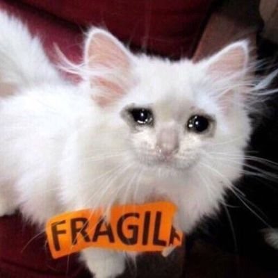 hilakkk's profile picture. 