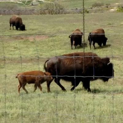 Travis_Donathan's profile picture. 