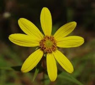 catdeb77's profile picture. 