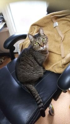 kojHKTzBaxTo9Vf's profile picture. 落胆に慣れながら逞しく生きるのが人生だ