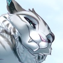 Shiraさんのプロフィール画像