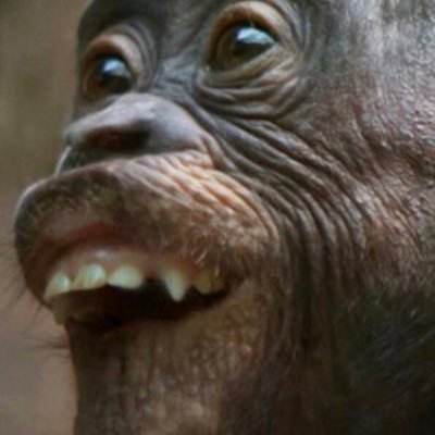 RussellMcGill5's profile picture. 