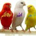 حنان ذماري (@fi6lvjfjdhtivnd) Twitter profile photo حنان ذماري (@fi6lvjfjdhtivnd) Twitter profile photo