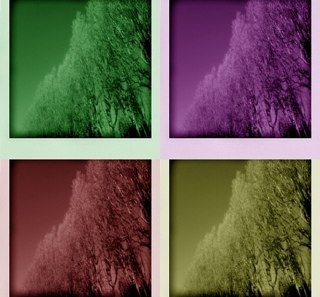 Bridgetcn's profile picture. 