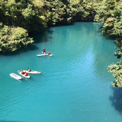 OLXjSWgoaDwIaib's profile picture. 余らせてる人生。