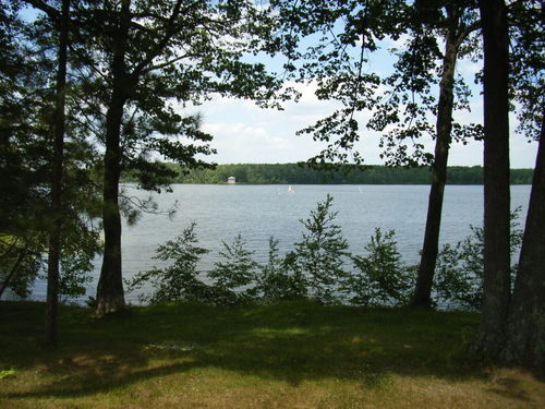 LyndaJLange's profile picture. Herbalife Specialist and personal trainer