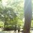 72f3a29cf0f04a8