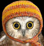 slafkin's profile picture. 