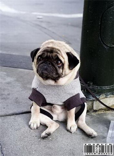 Mustcomputer's profile picture. บริษัทเรานำเข้าสินค้าอุปกรณ์คอมพิวเตอร์ราคาสินค้าถูกกว่าท้องตลาดมากมีสินค้ามากมายหลายชนิดให้คุณได้เลือกทั้งมือหนึ่งและมือสองครับ.